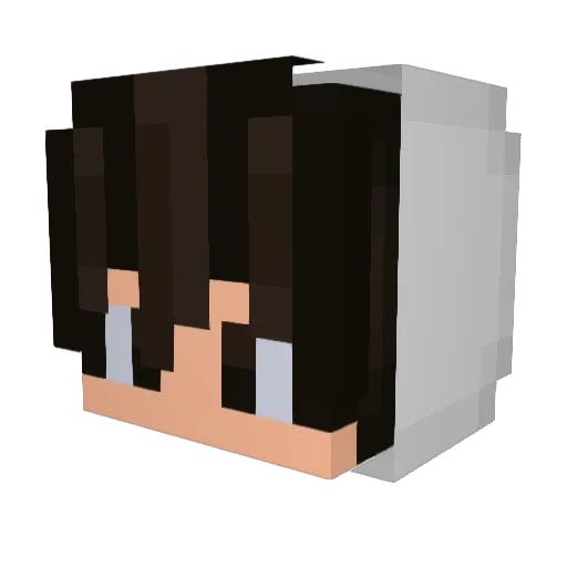 Aleodar Minecraft avatar head, 3D render