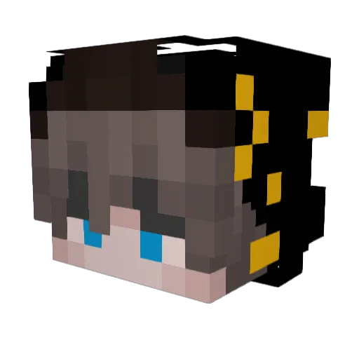 Aleoo_ Minecraft avatar head, 3D render