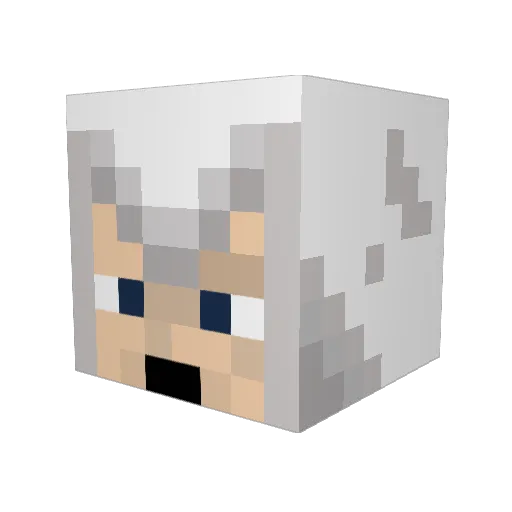 Aleph_Omicron Minecraft avatar head, 3D render
