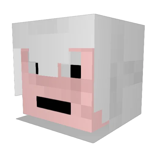 Aleri Minecraft avatar head, 3D render