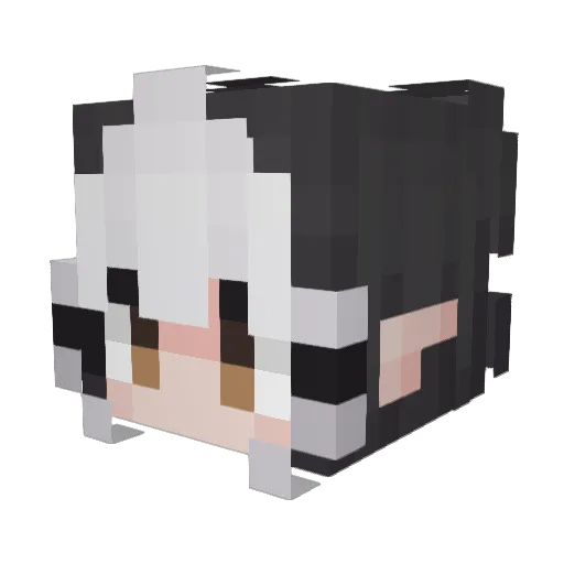 Alerona Minecraft avatar head, 3D render