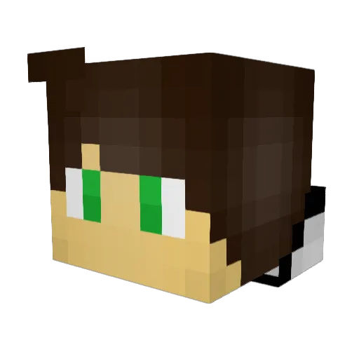 Alestine2414 Minecraft avatar head, 3D render