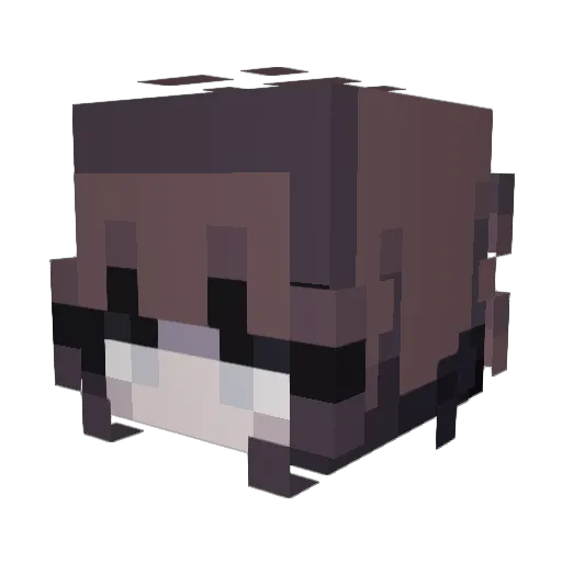 Alex1002111 Minecraft avatar head, 3D render