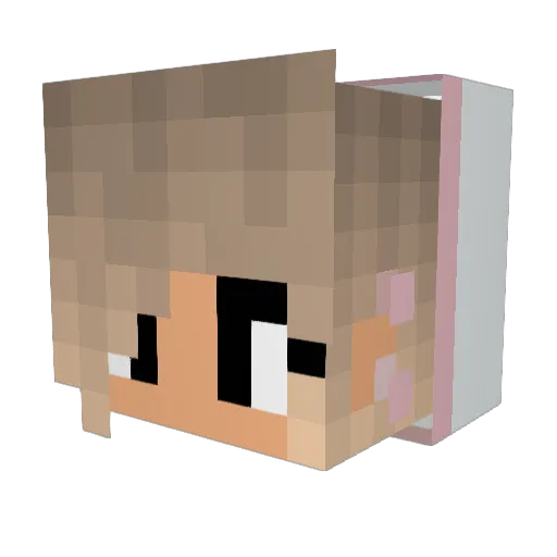 Alex10567 Minecraft avatar head, 3D render