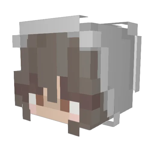 Alex11nasty Minecraft avatar head, 3D render