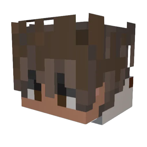 Alex17Dollars Minecraft avatar head, 3D render