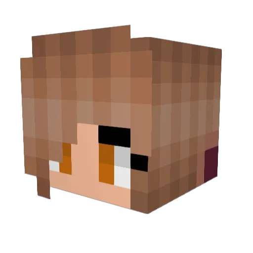 Alex22331 Minecraft avatar head, 3D render
