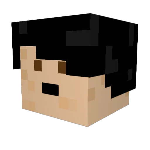 Alex2237 Minecraft avatar head, 3D render