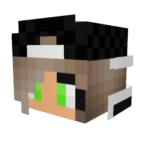 Alex43197 Minecraft avatar head, 3D render