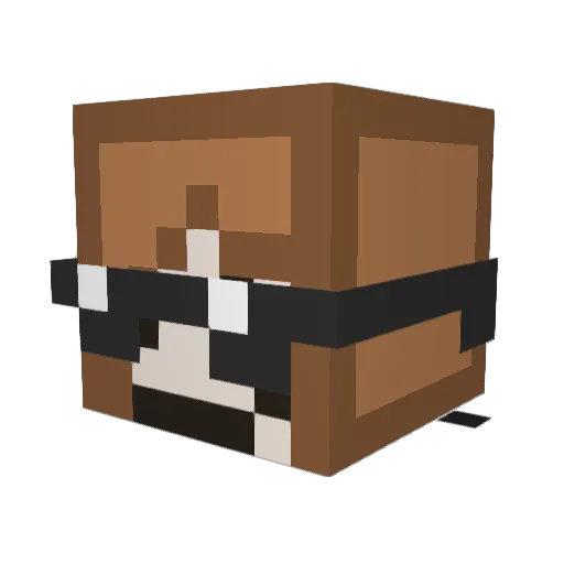 Alex5play Minecraft avatar head, 3D render