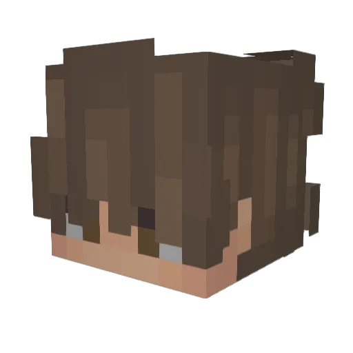 Alex8862 Minecraft avatar head, 3D render