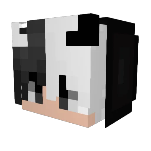AlexBgamer Minecraft avatar head, 3D render