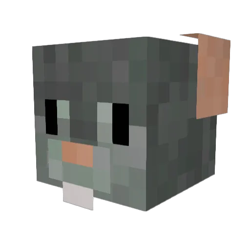AlexBoy8 Minecraft avatar head, 3D render