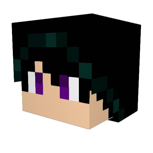 AlexCein777 Minecraft avatar head, 3D render