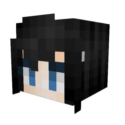 AlexD553 Minecraft avatar head, 3D render