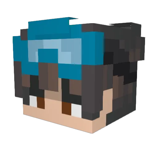 AlexFN09 Minecraft avatar head, 3D render