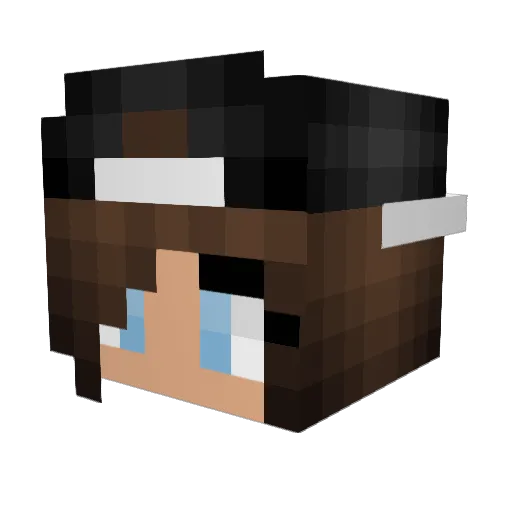AlexFerret Minecraft avatar head, 3D render