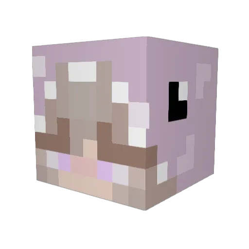 AlexIsSoLost Minecraft avatar head, 3D render