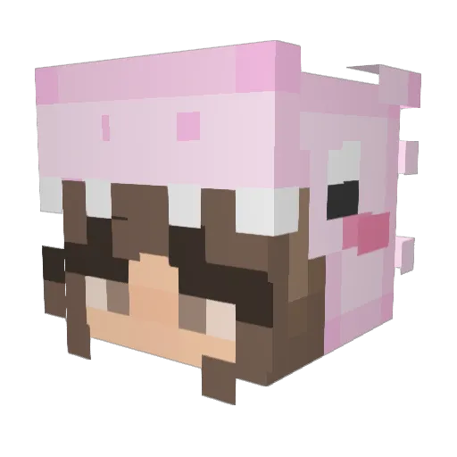 AlexL_12 Minecraft avatar head, 3D render