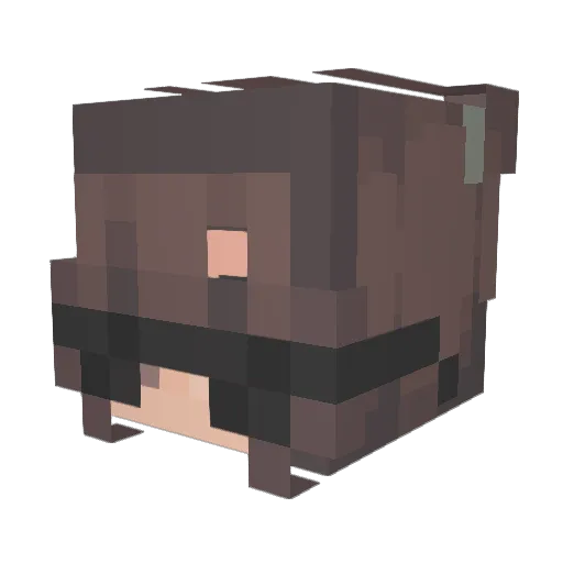 AlexSaleeg Minecraft avatar head, 3D render