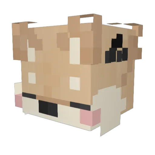 AlexStick Minecraft avatar head, 3D render