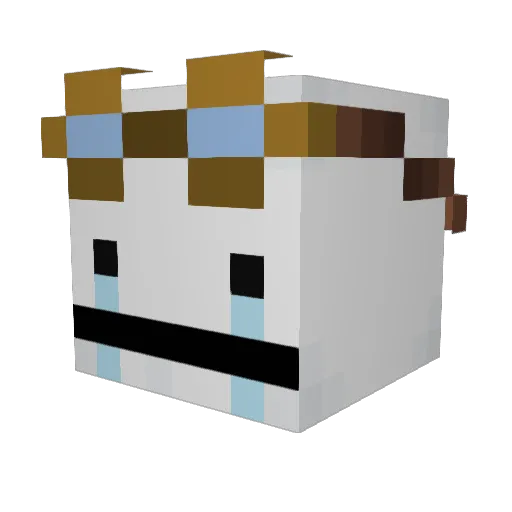 AlexStudios166 Minecraft avatar head, 3D render