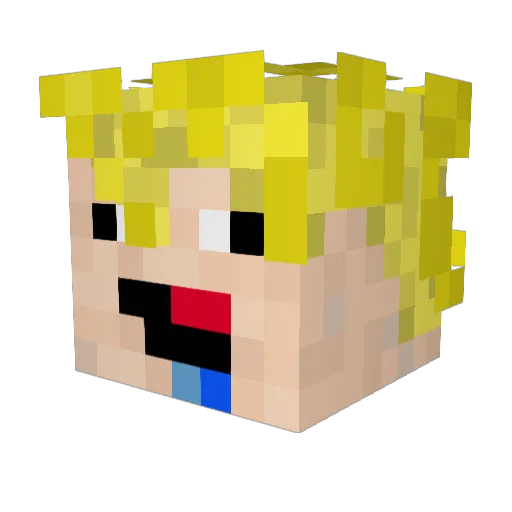 AlexSzew2013 Minecraft avatar head, 3D render