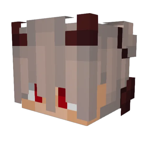 AlexTheCookieBoy Minecraft avatar head, 3D render