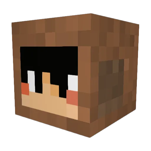 AlexTheDucky Minecraft avatar head, 3D render
