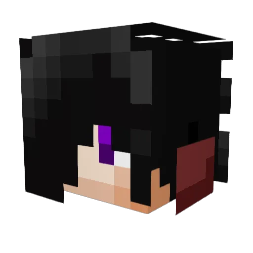 AlexValverde4005 Minecraft avatar head, 3D render