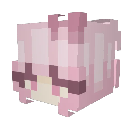 AlexYeet209 Minecraft avatar head, 3D render