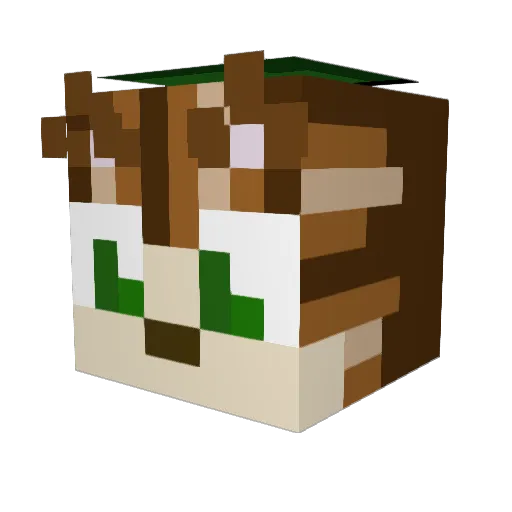 Alex_Darth_Vader Minecraft avatar head, 3D render