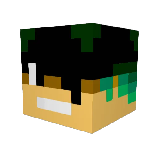 Alex_Luffy14 Minecraft avatar head, 3D render