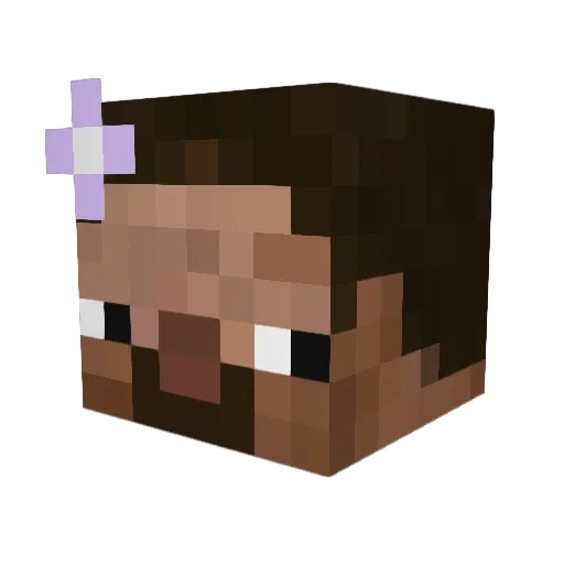 Alex_Minecraft25 Minecraft avatar head, 3D render