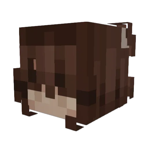 Alex_dsa Minecraft avatar head, 3D render