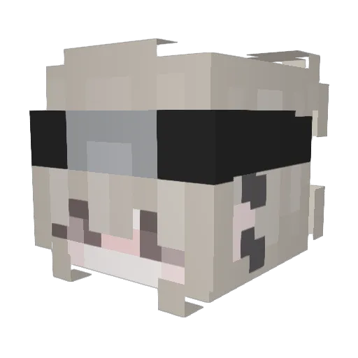 Alex_exe00 Minecraft avatar head, 3D render