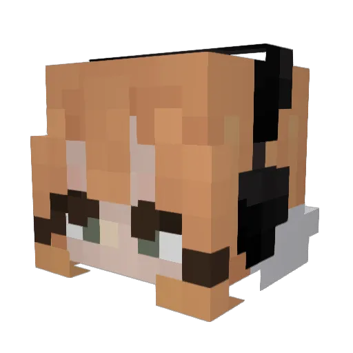 Alexa_3300 Minecraft avatar head, 3D render