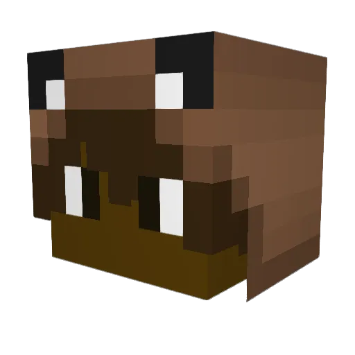 Alexanax_ Minecraft avatar head, 3D render