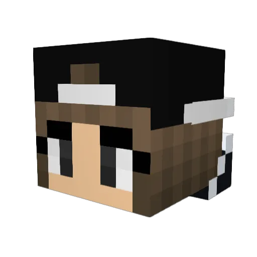 Alexandarara Minecraft avatar head, 3D render