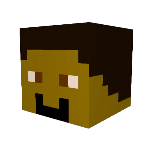 Alexander019 Minecraft avatar head, 3D render