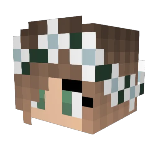Alexandra00 Minecraft avatar head, 3D render