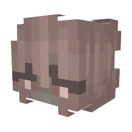 AlexandraAurora Minecraft avatar head, 3D render
