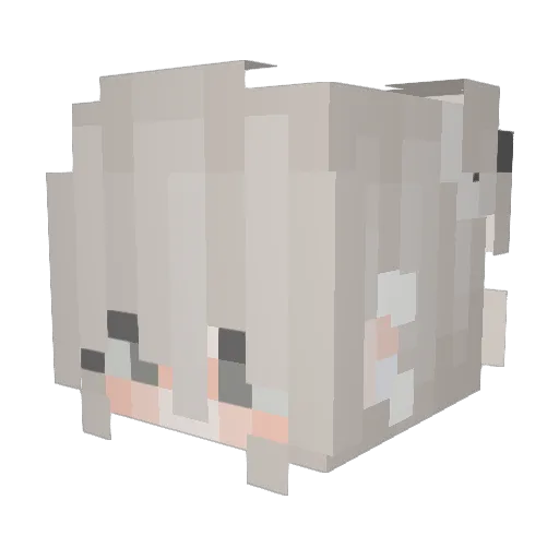 Alexandrq Minecraft avatar head, 3D render