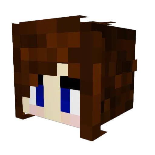 AlexatheCat314 Minecraft avatar head, 3D render