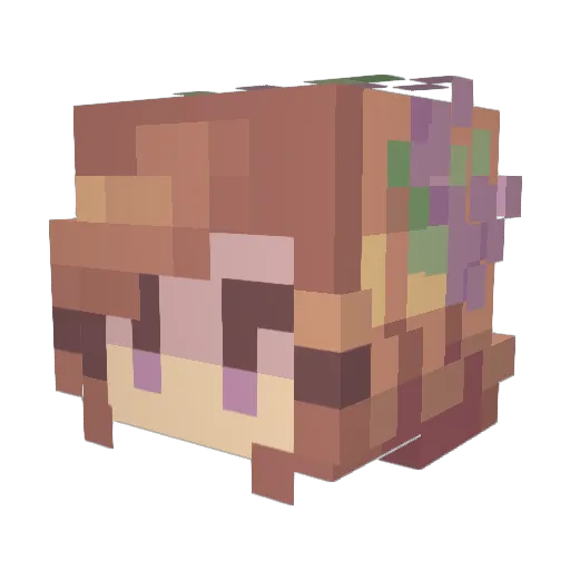 Alexbruce3 Minecraft avatar head, 3D render