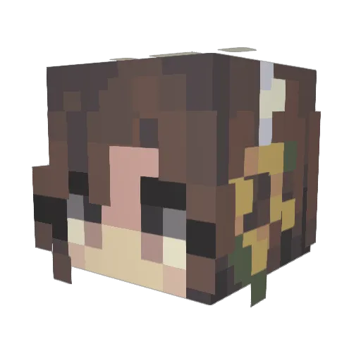 Alexbruh00 Minecraft avatar head, 3D render