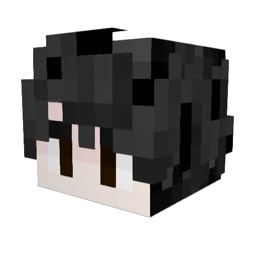 Alexflooxd Minecraft avatar head, 3D render