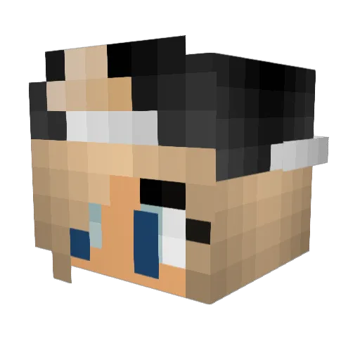 Alexia005 Minecraft avatar head, 3D render