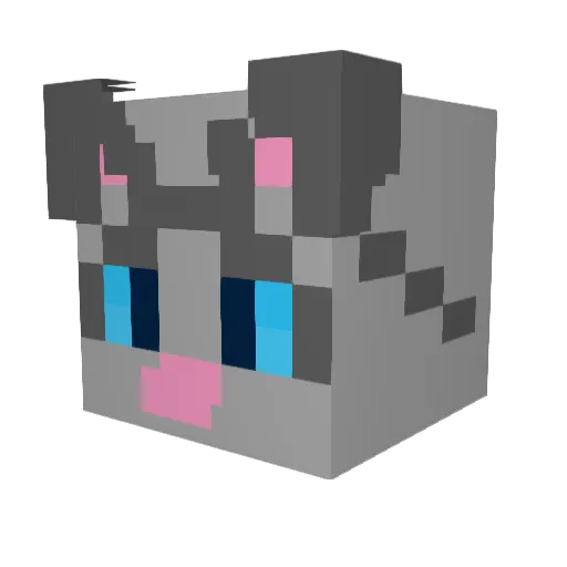 Alexicat2002 Minecraft avatar head, 3D render