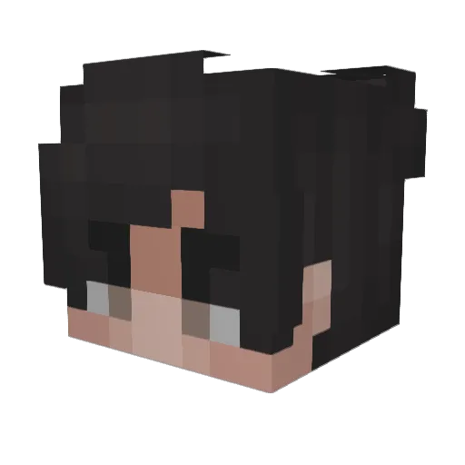 Alexiiis_ Minecraft avatar head, 3D render